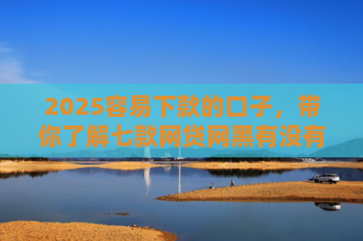 2025容易下款的口子，带你了解七款网贷网黑有没有下款口子