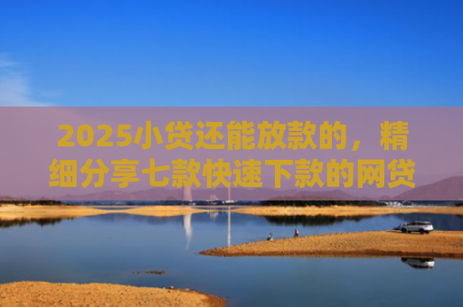 2025小贷还能放款的，精细分享七款快速下款的网贷小口子