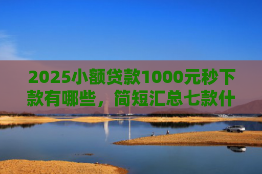 2025小额贷款1000元秒下款有哪些，简短汇总七款什么网贷秒下款新口子