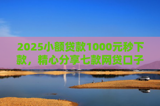 2025小额贷款1000元秒下款，精心分享七款网贷口子怎么填下款高