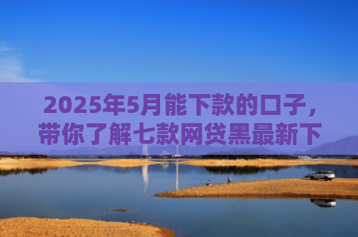 2025年5月能下款的口子，带你了解七款网贷黑最新下款口子