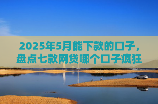 2025年5月能下款的口子，盘点七款网贷哪个口子疯狂下款