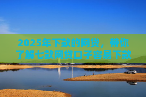 2025年下款的网贷，带你了解七款网贷口子容易下款的