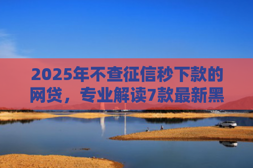 2025年不查征信秒下款的网贷，专业解读7款最新黑户网贷下款口子