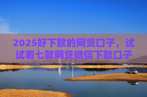 2025好下款的网贷口子，试试看七款网贷微信下款口子