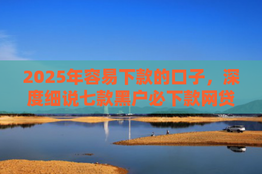 2025年容易下款的口子，深度细说七款黑户必下款网贷口子