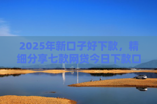 2025年新口子好下款，精细分享七款网贷今日下款口子