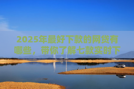 2025年最好下款的网贷有哪些，带你了解七款实时下款网贷口子