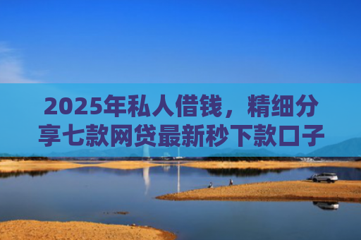 2025年私人借钱，精细分享七款网贷最新秒下款口子