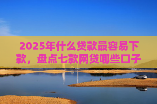 2025年什么贷款最容易下款，盘点七款网贷哪些口子比下款