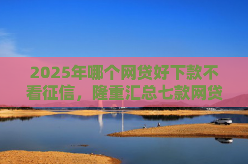 2025年哪个网贷好下款不看征信，隆重汇总七款网贷夜间下款的口子