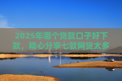 2025年哪个贷款口子好下款，精心分享七款网贷太多易下款口子