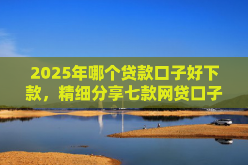 2025年哪个贷款口子好下款，精细分享七款网贷口子直接下款