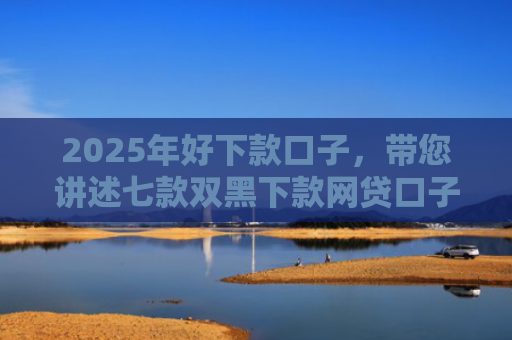 2025年好下款口子，带您讲述七款双黑下款网贷口子
