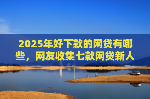 2025年好下款的网贷有哪些，网友收集七款网贷新人下款口子