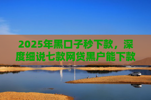 2025年黑口子秒下款，深度细说七款网贷黑户能下款口子
