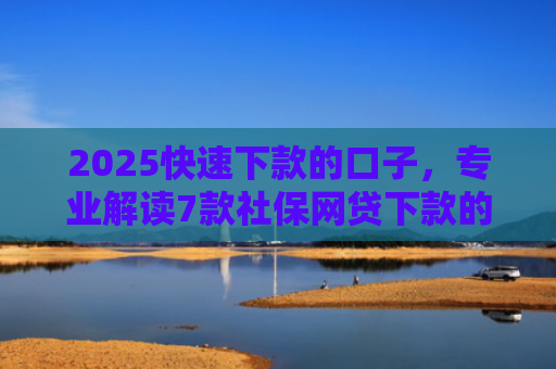 2025快速下款的口子，专业解读7款社保网贷下款的口子