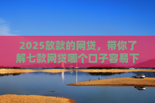 2025放款的网贷，带你了解七款网贷哪个口子容易下款