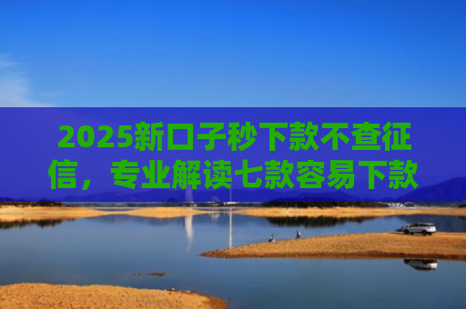 2025新口子秒下款不查征信，专业解读七款容易下款的大额网贷口子