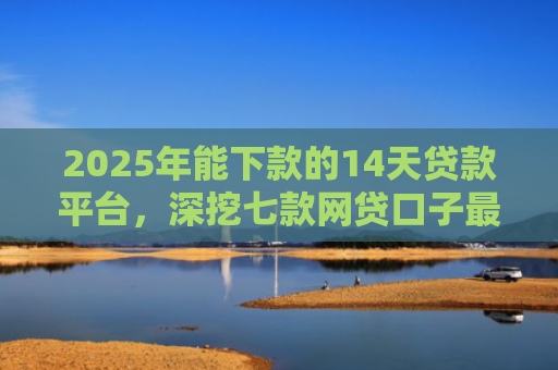 2025年能下款的14天贷款平台，深挖七款网贷口子最容易下款