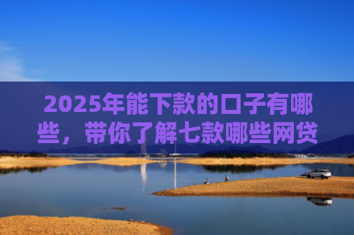 2025年能下款的口子有哪些，带你了解七款哪些网贷口子必下款