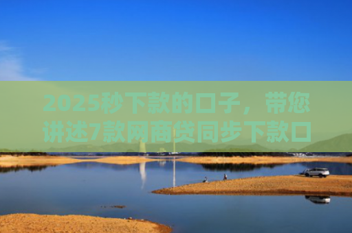 2025秒下款的口子，带您讲述7款网商贷同步下款口子