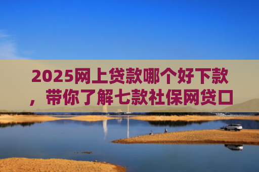 2025网上贷款哪个好下款，带你了解七款社保网贷口子那个下款快