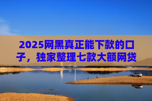 2025网黑真正能下款的口子，独家整理七款大额网贷哪些口子好下款