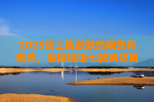 2025晚上能放款的网贷有哪些，深度细说七款网贷简单好下款的口子