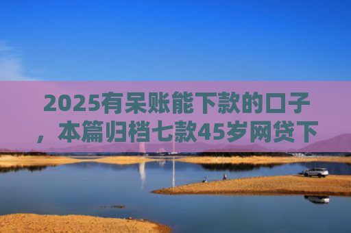 2025有呆账能下款的口子，本篇归档七款45岁网贷下款的口子