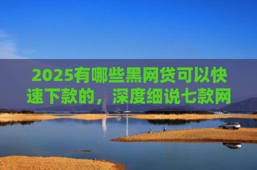 2025有哪些黑网贷可以快速下款的，深度细说七款网贷哪个口子好下款呢