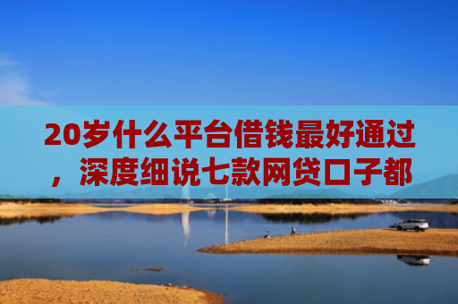 20岁什么平台借钱最好通过，深度细说七款网贷口子都不下款了