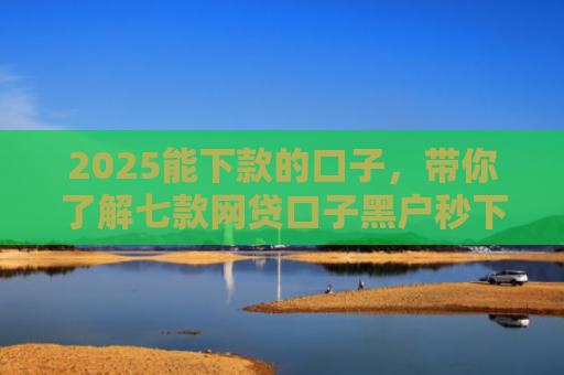 2025能下款的口子，带你了解七款网贷口子黑户秒下款