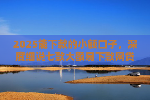 2025能下款的小额口子，深度细说七款大额易下款网贷口子