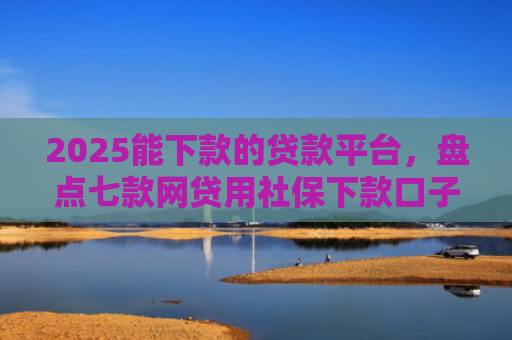 2025能下款的贷款平台，盘点七款网贷用社保下款口子