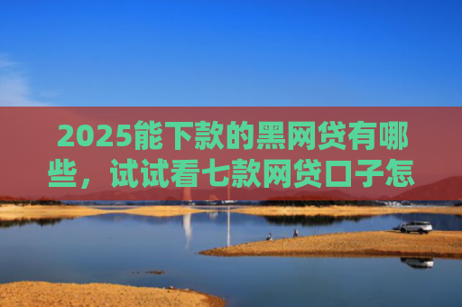 2025能下款的黑网贷有哪些，试试看七款网贷口子怎么好下款