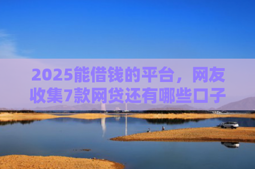 2025能借钱的平台，网友收集7款网贷还有哪些口子下款