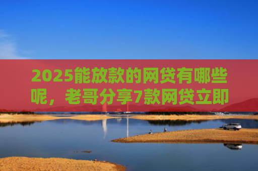 2025能放款的网贷有哪些呢，老哥分享7款网贷立即下款的口子