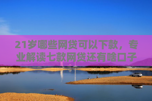 21岁哪些网贷可以下款，专业解读七款网贷还有啥口子能下款