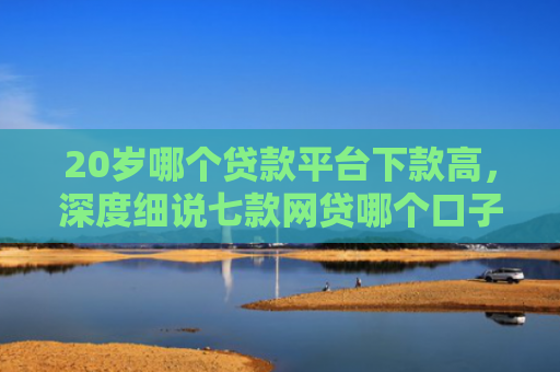 20岁哪个贷款平台下款高，深度细说七款网贷哪个口子下款率高