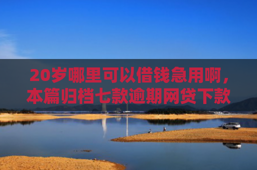 20岁哪里可以借钱急用啊，本篇归档七款逾期网贷下款有什么口子