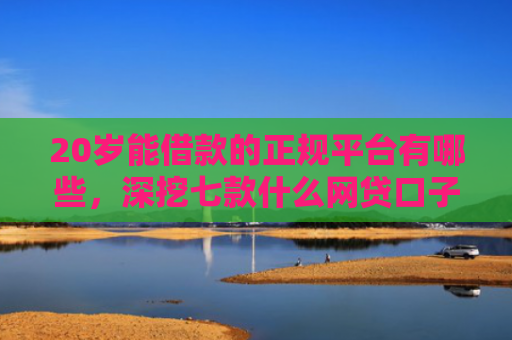 20岁能借款的正规平台有哪些，深挖七款什么网贷口子好下款的