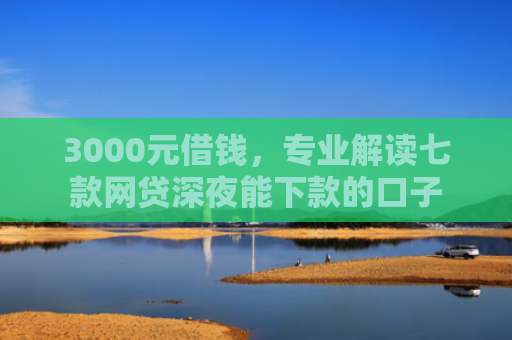 3000元借钱，专业解读七款网贷深夜能下款的口子