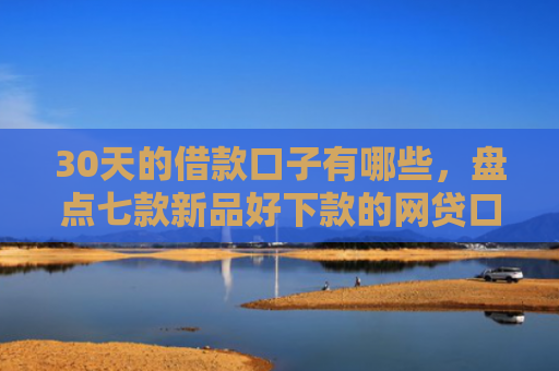 30天的借款口子有哪些，盘点七款新品好下款的网贷口子