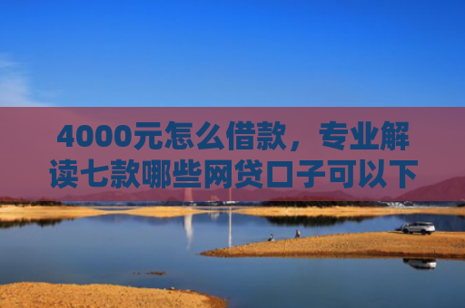 4000元怎么借款，专业解读七款哪些网贷口子可以下款