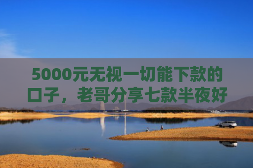 5000元无视一切能下款的口子，老哥分享七款半夜好下款的网贷口子