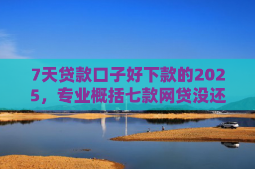 7天贷款口子好下款的2025，专业概括七款网贷没还能下款的口子