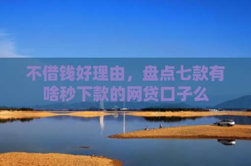 不借钱好理由，盘点七款有啥秒下款的网贷口子么