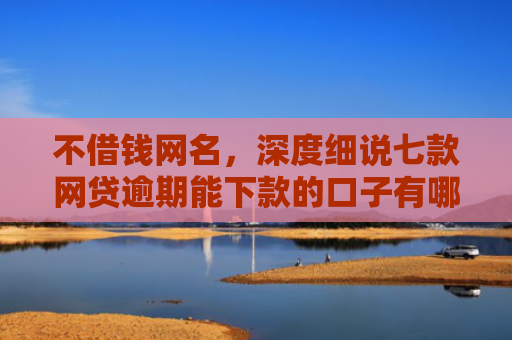 不借钱网名，深度细说七款网贷逾期能下款的口子有哪些