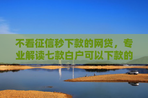 不看征信秒下款的网贷，专业解读七款白户可以下款的网贷口子